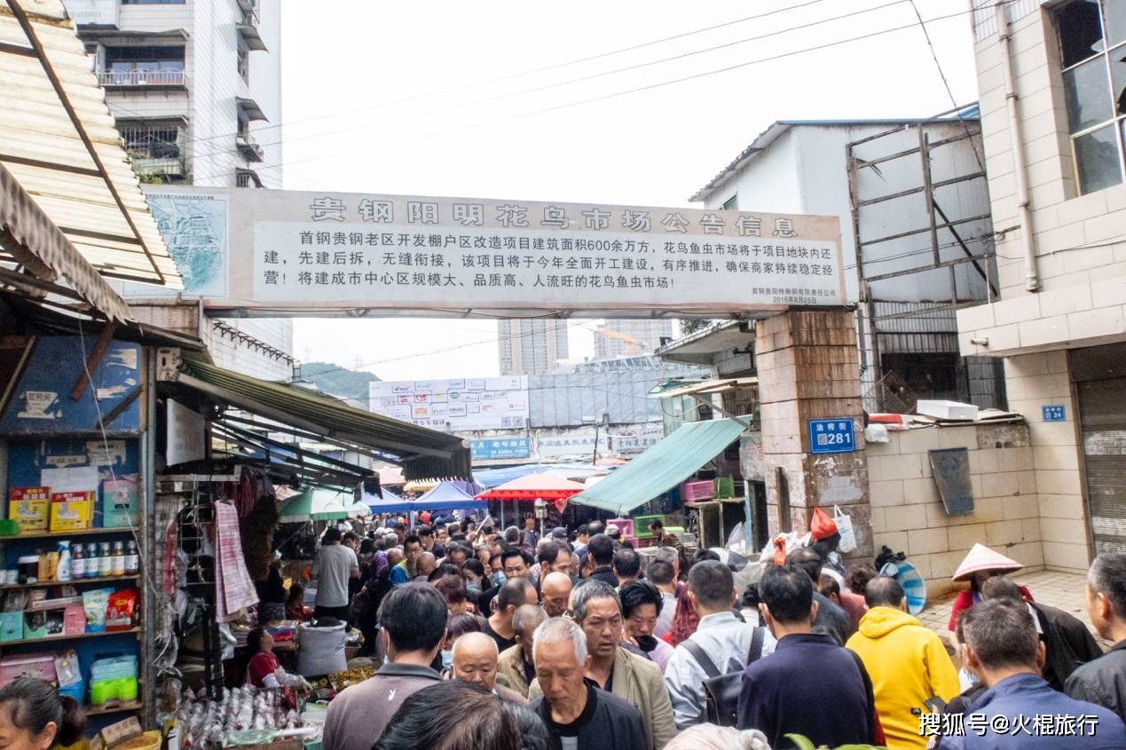 贵阳最火爆的花鸟市场距离油榨街很近满满的老贵阳味道