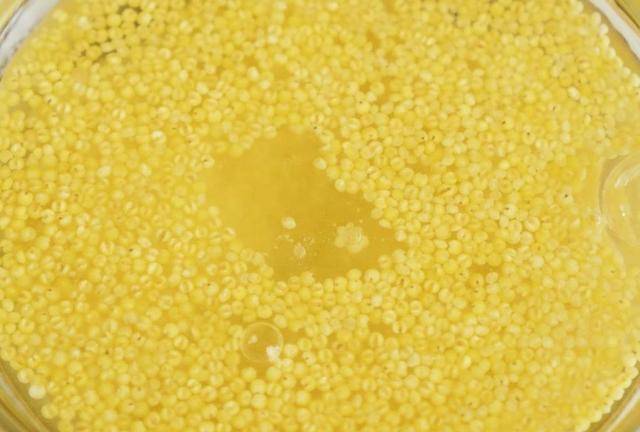 小米是开水下锅还是凉水 10fde5afe2b242c4a6b330874154453a.jpeg