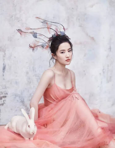 中国女明星颜值排名_2019年中国十大女明星排行榜,第一居然是她......