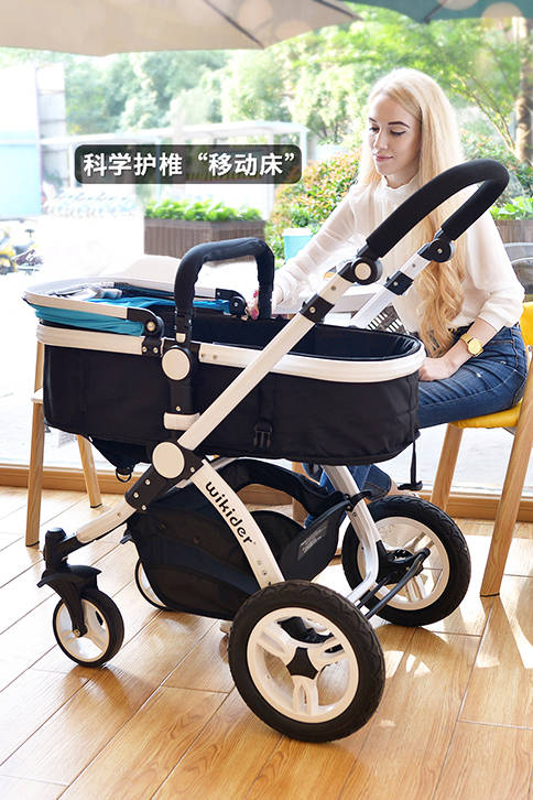 婴儿车品牌排行榜_婴儿车图片(4)