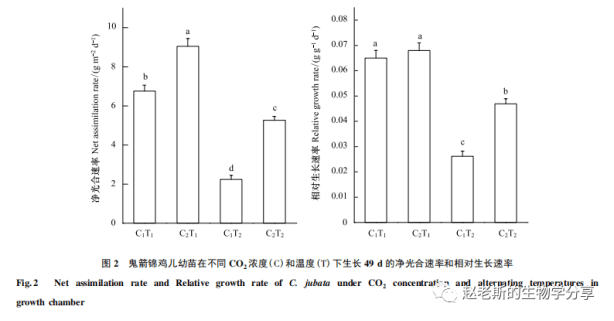 gdp升高对人的生活影响_你生活中那些最亲切的陌生人 贡献了GDP增长的1(2)