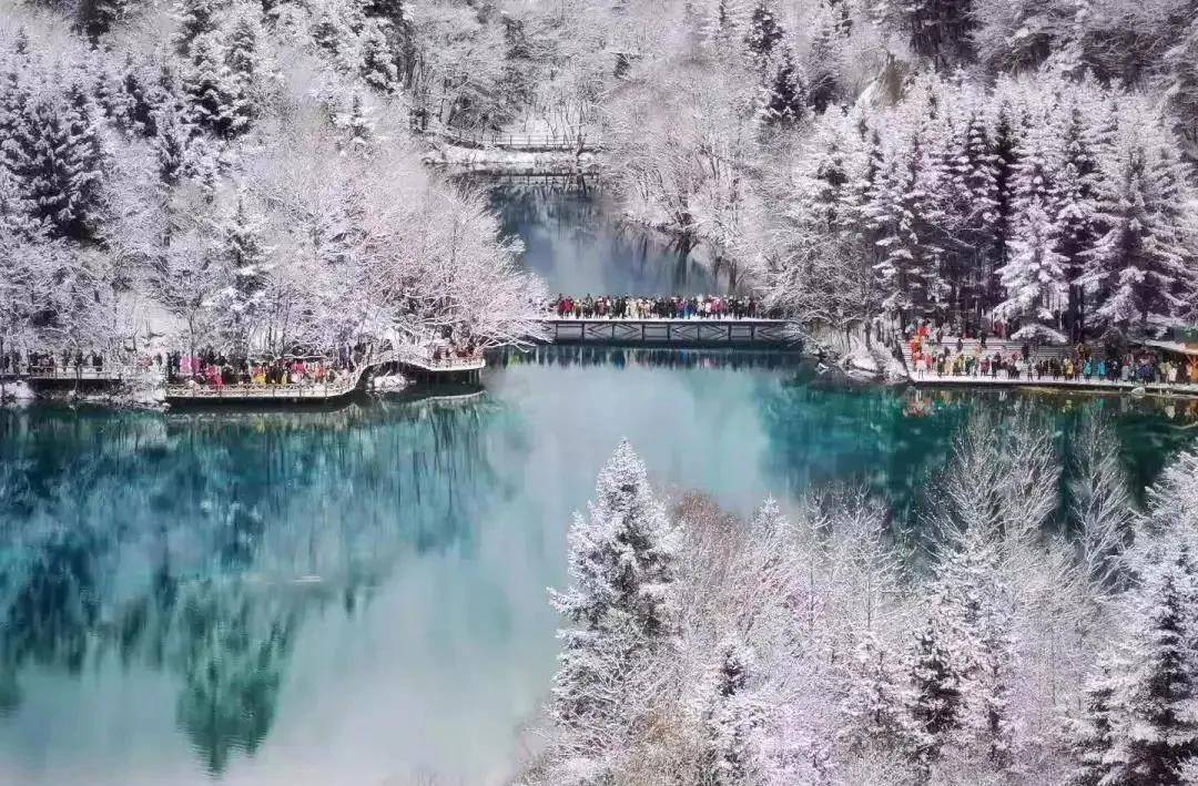 随着冬天的到来,九寨沟的雪景再一次被大众所提起,引得众生再次向往