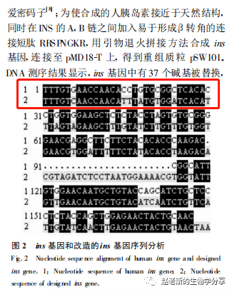 J系基因人口_传承红色基因手抄报