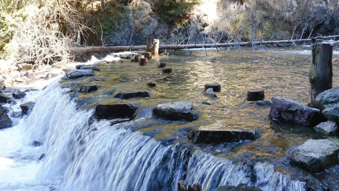 王母娘娘举办蟠桃宴(猜一成语)_王母娘娘的蟠桃园图片(2)