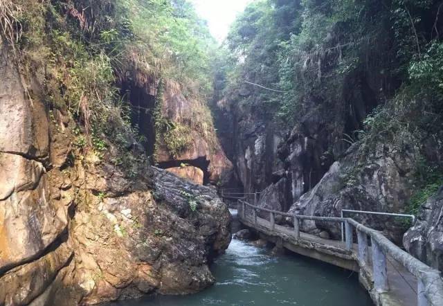 自驾路线:成都→京昆高速→雅碧路→陇西路→碧峰峡风景区(全场约150