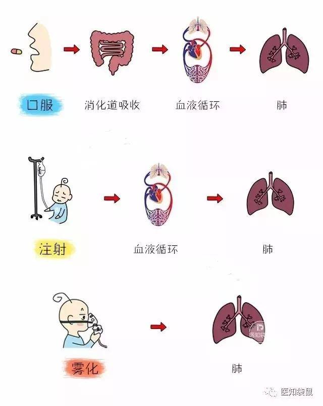 宝宝|13价肺炎疫苗给宝宝约了吗？肺炎高发期