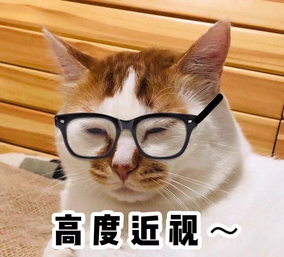 猫咪表情包合集:两眼一闭,当你放屁.