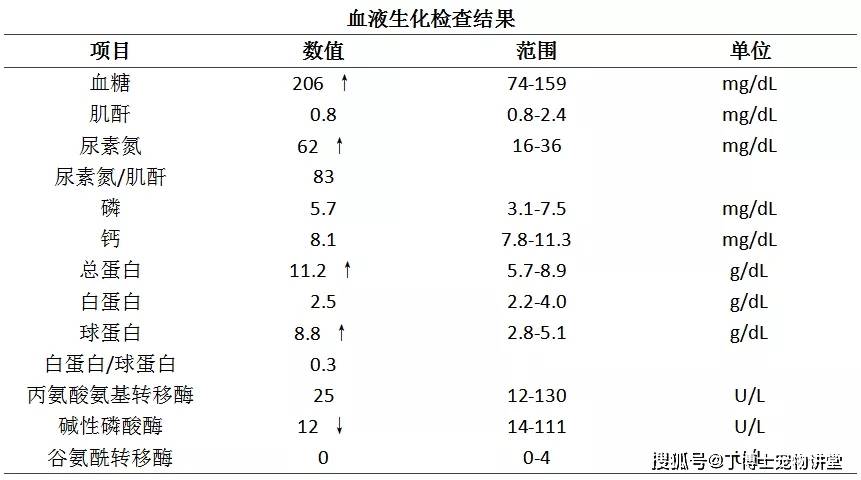 宠物讲堂丨上消化道疾病—口炎