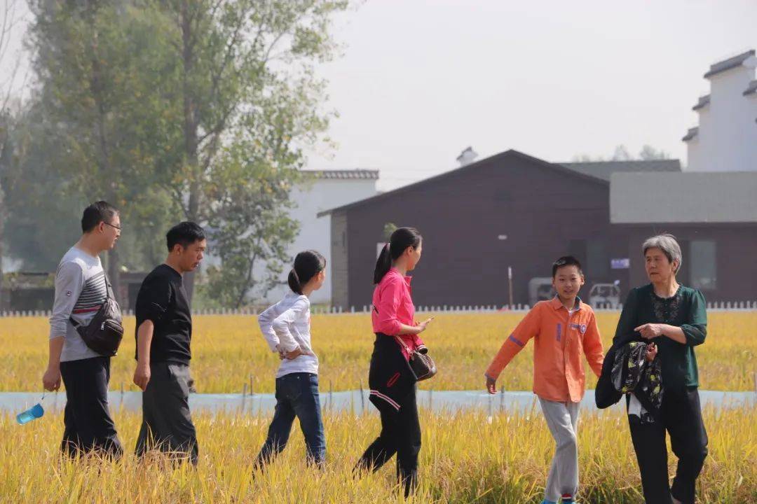 夸赞人口才_夸赞太棒了动图