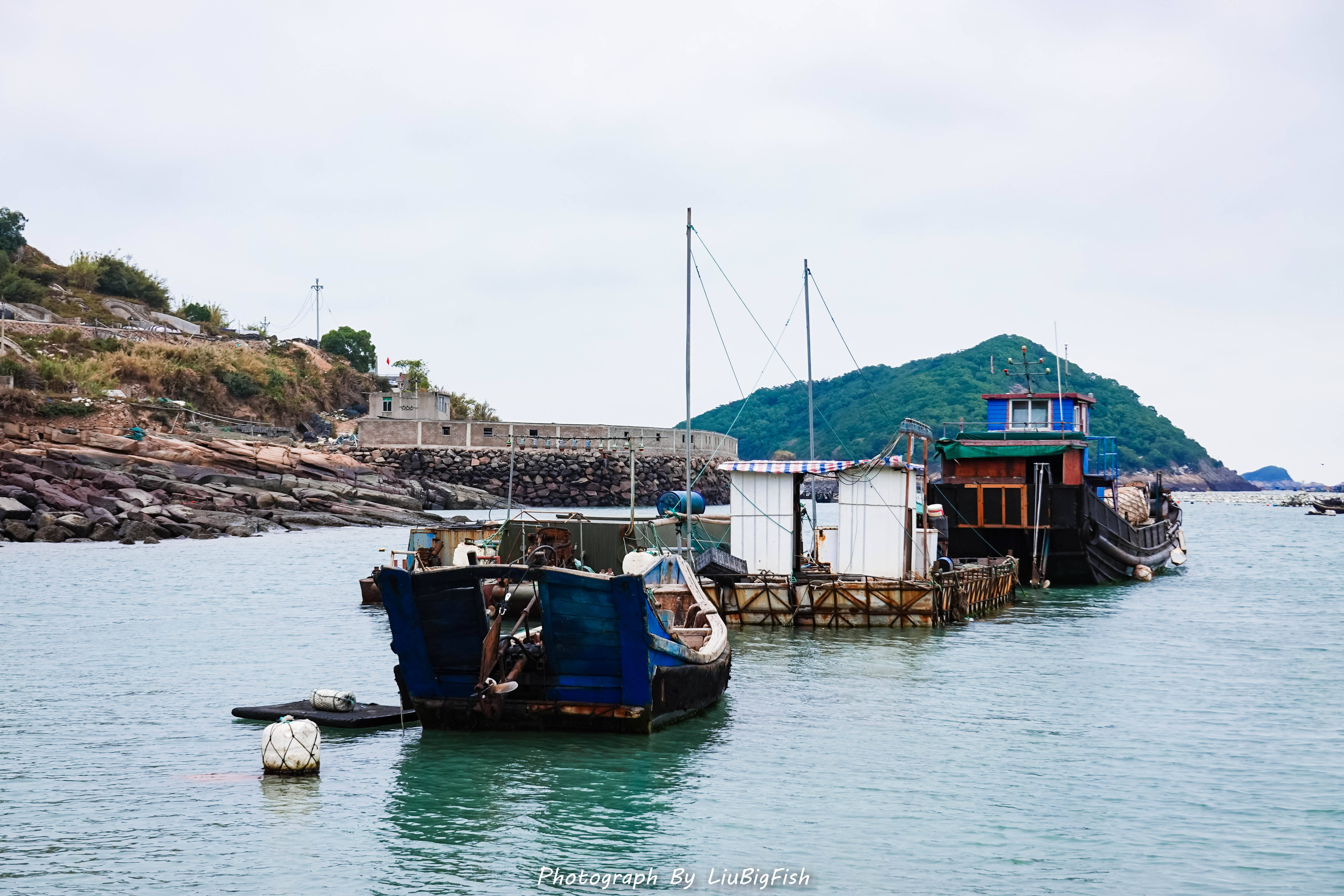 海上渔村的特色是靠海,主要以海鲜为主,这里是天然海港,只有奇达才