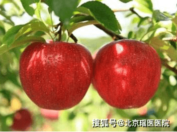 d683bdd8b371479f9469f5b02d502dae.png