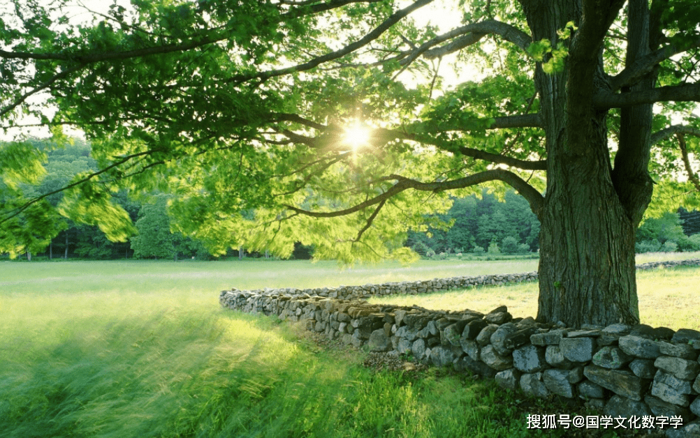 1cecf1c49f274234bedc16cf7f7a5b8b.png