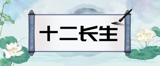 干货天干在地支的十二长生详解二