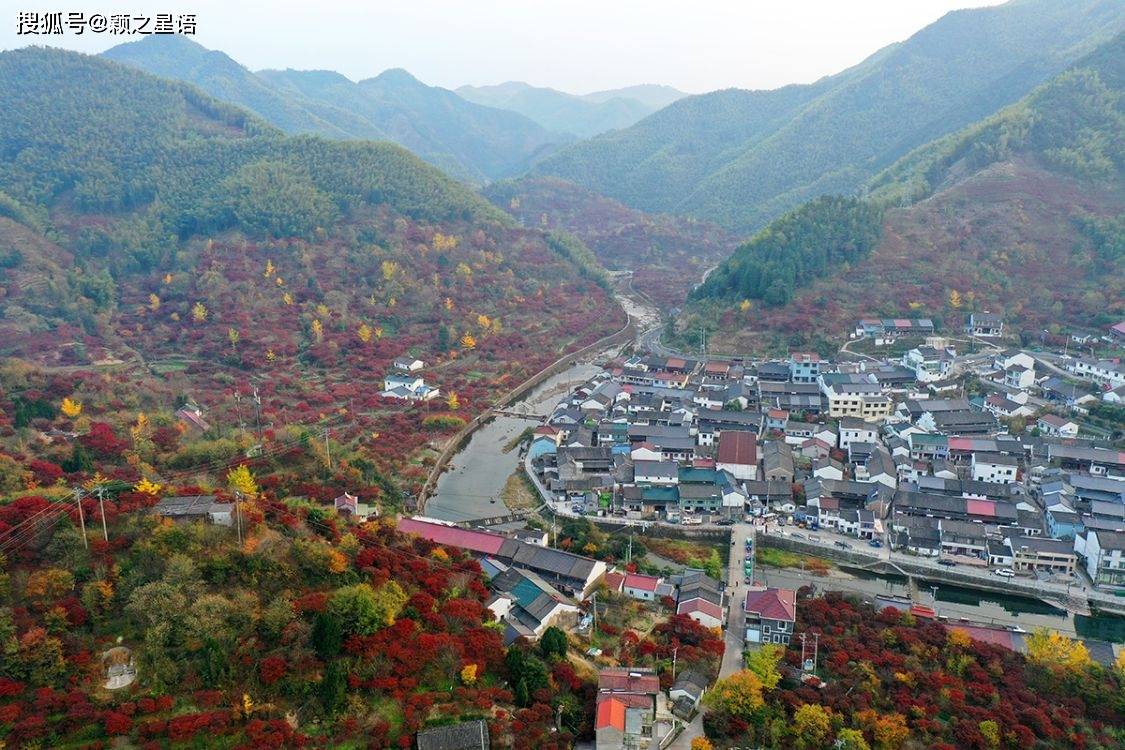 红枫每年红两次,赏枫胜地,山环水绕北溪村