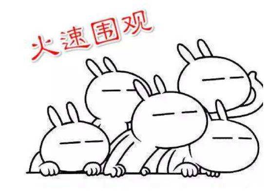 隆重提示:cp有风险,嗑郞须谨慎_手机搜狐网