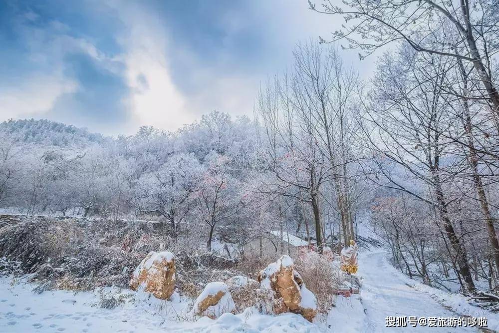 什么时候冬天就过去了 9c29db8717074fd78e149298a5ab7646.jpeg