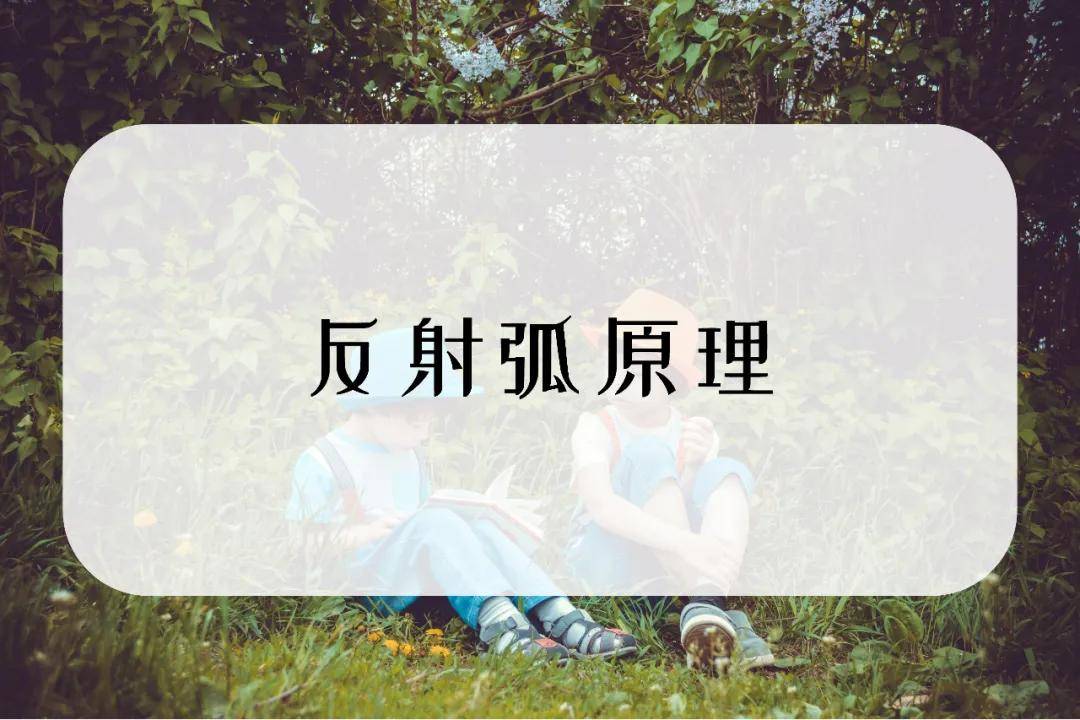 ba273b088ac64df8a1501851cf4cb562.jpeg
