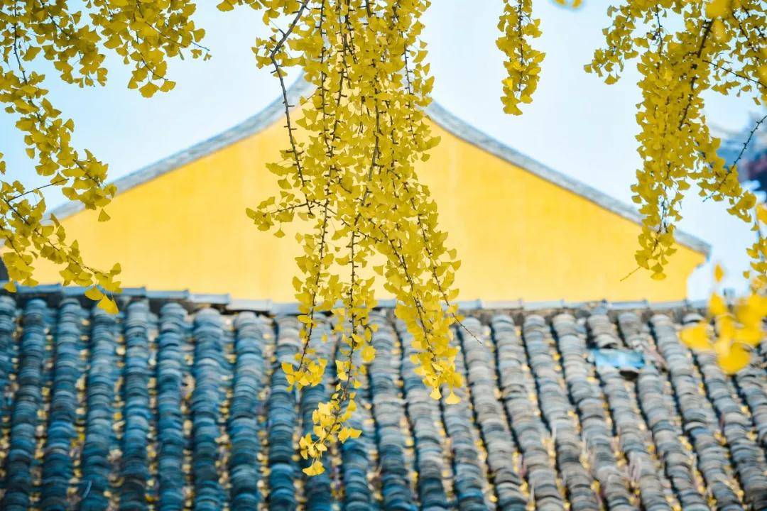 什么状叶茂成语_根深叶茂图片(4)