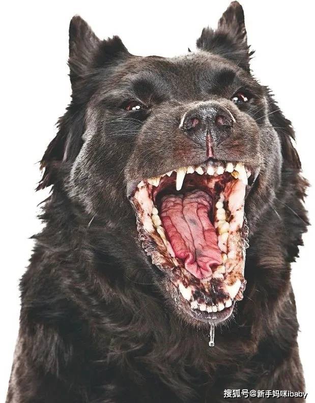 我只看到过一次死亡的痛苦发生在狂犬病患者身上