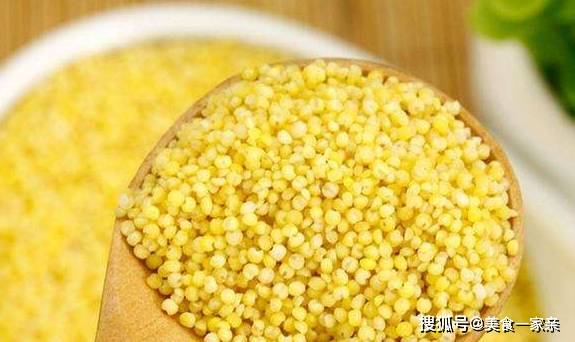 小米是什么粮食啊 7d575775b38340b682ef756c6928e2fa.jpeg