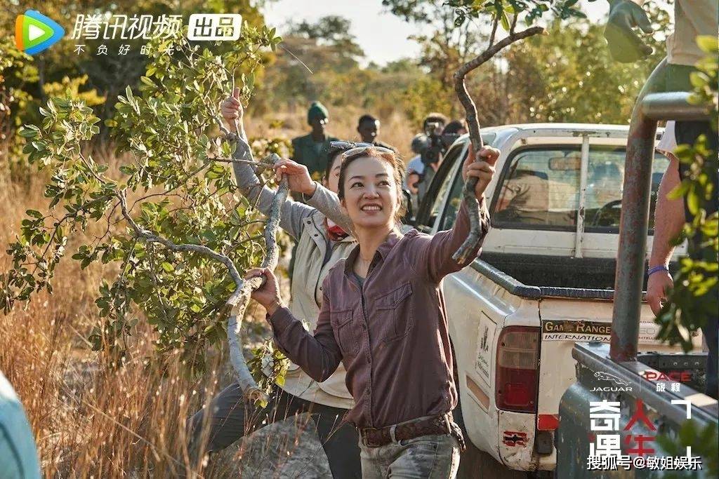 阿雅《奇遇人生》的灵魂人物,再次用淡定,从容,温暖的心,拥抱每一个
