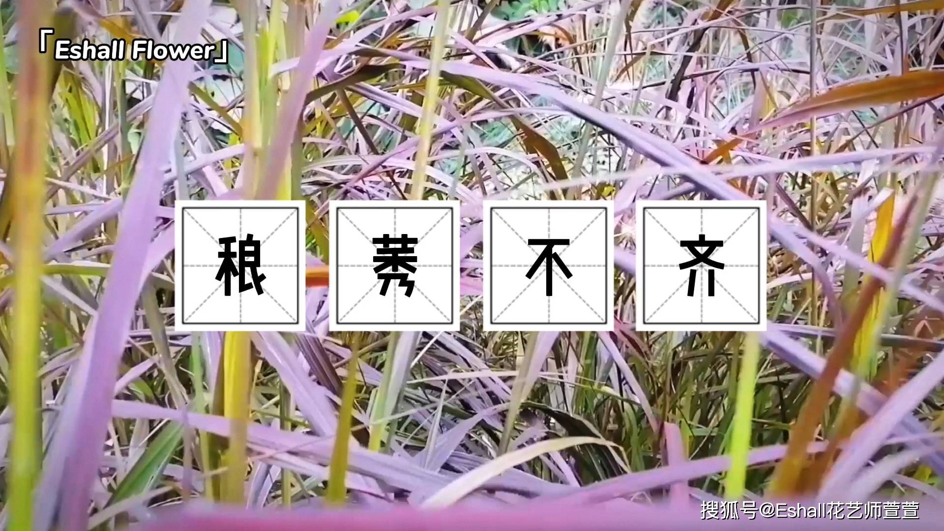 成语什么花境_成语故事简笔画(3)