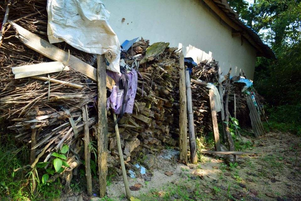 草什么门成语_草什么花什么成语(3)