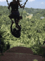 搞笑gif段子:鸡表示,你们开心就好