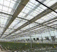 现代农业科技园物联网温室控制系统技术方案高级配置