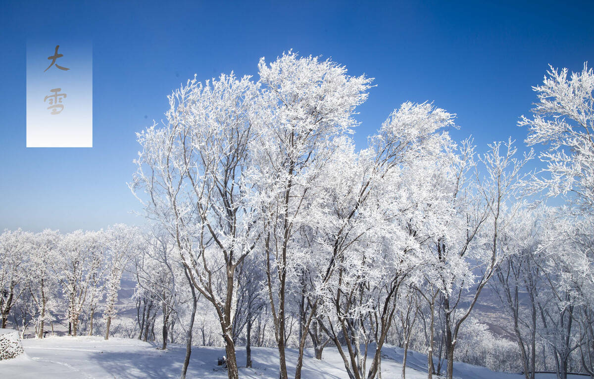 大雪将至,俗语"寒风迎大雪,三九天气暖",今年冬季是寒冬吗?