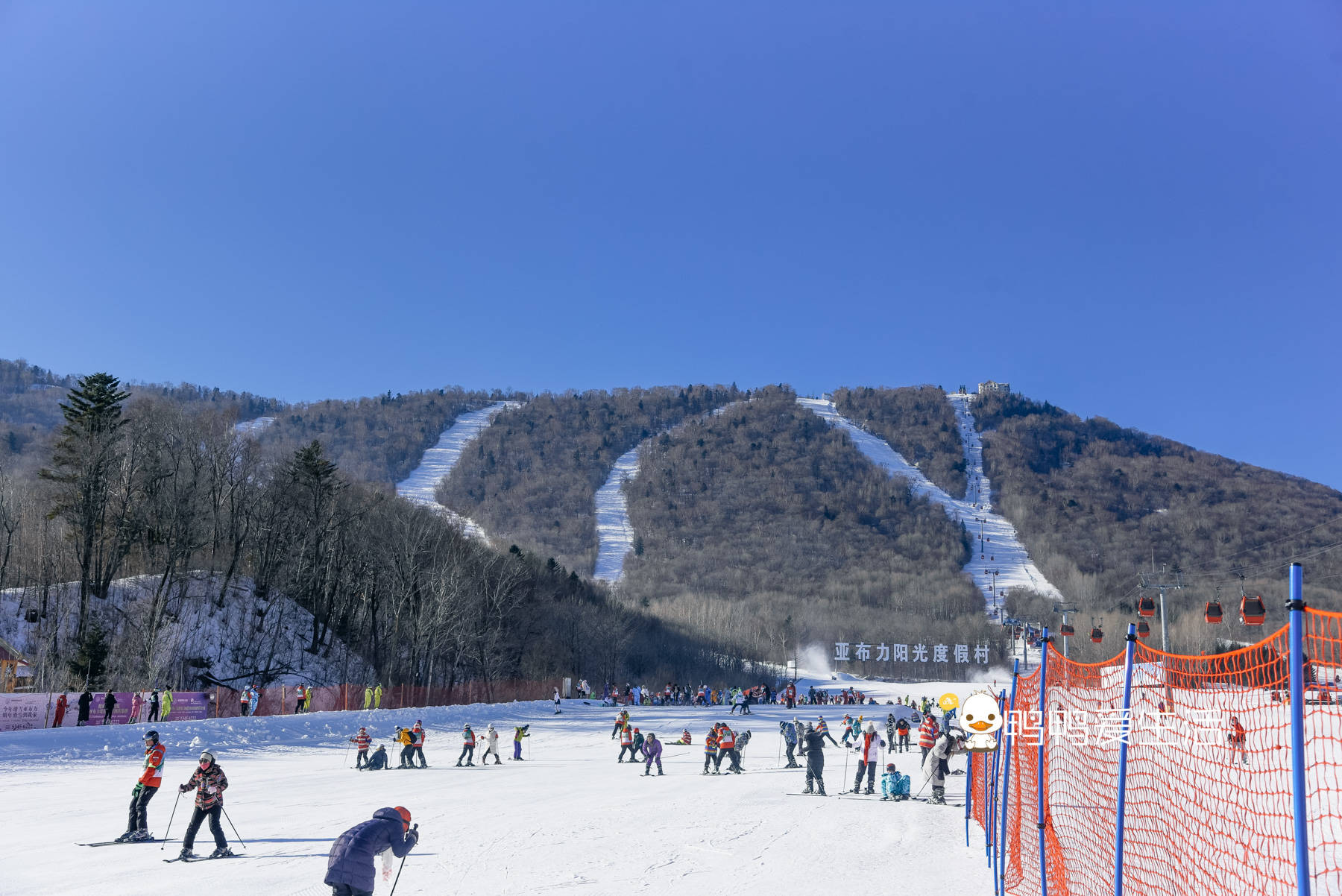 冬天游玩好去处,国内最大的滑雪场就在亚布力,拥有世界第一滑道!