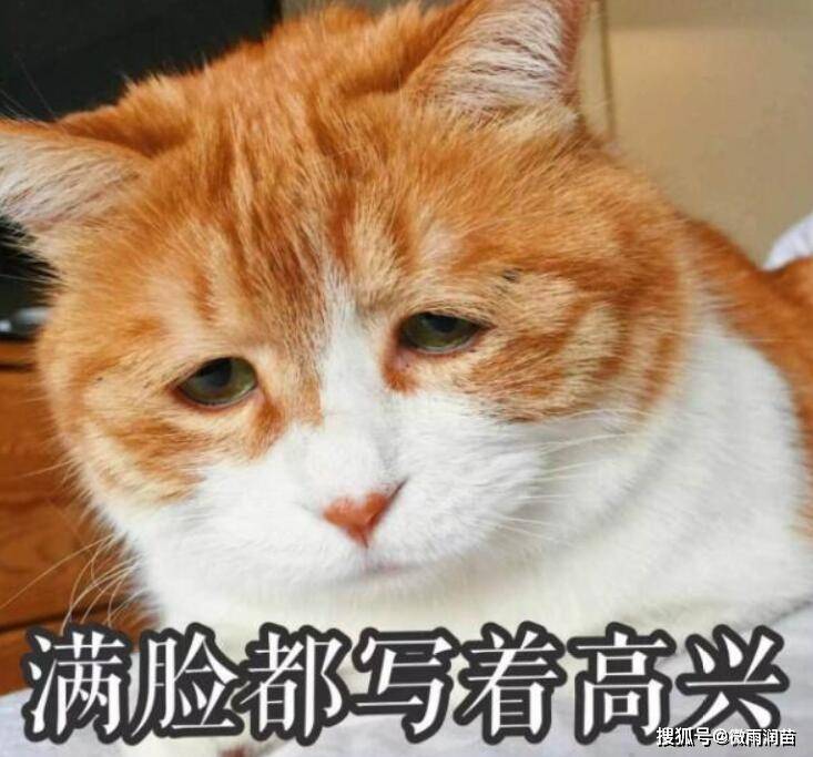 原创家长特地给老师送锦旗,但老师却高兴不起来,这到底是什么回事?