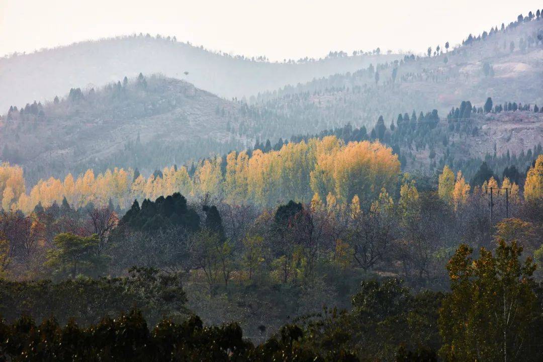 2020年安徽最新大学_2020年安徽省学校体育联赛大学生排球比赛