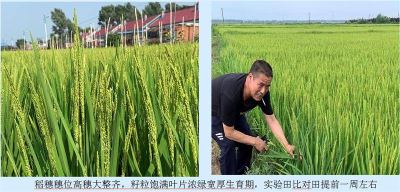 秀水镇地处松辽平原腹地,坐落在被誉为"天下第一粮仓"的吉林省榆树市