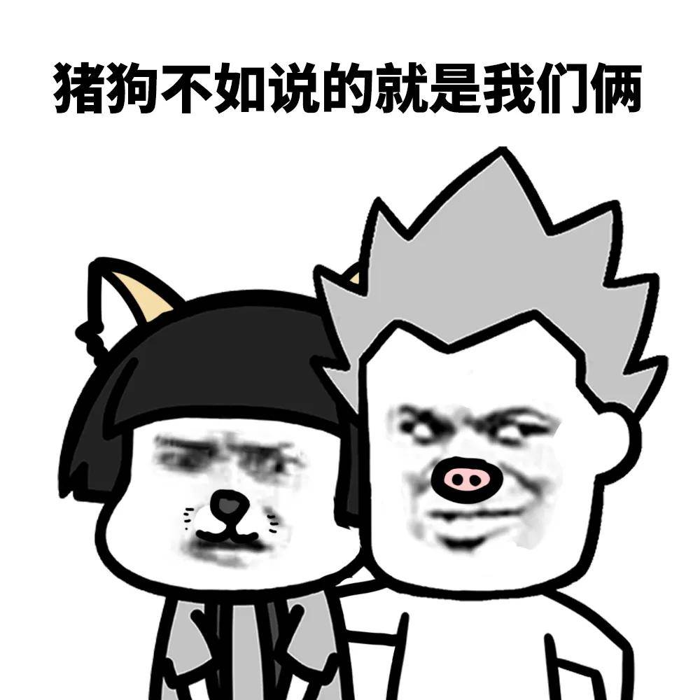 蘑菇头表情包:小宝贝,你养猪是吧?养我吧,因为我属猪