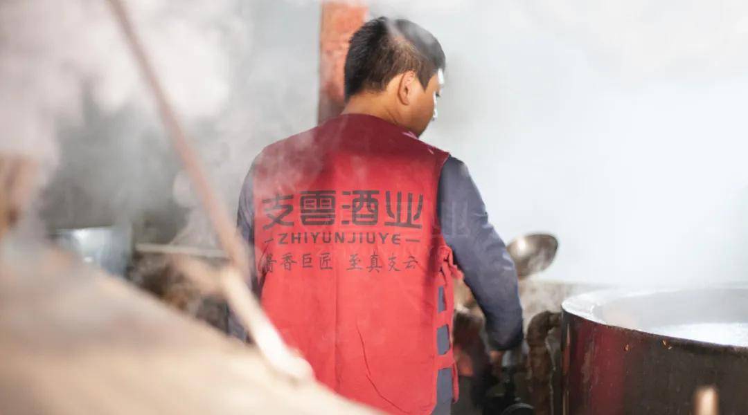 五品怎么看