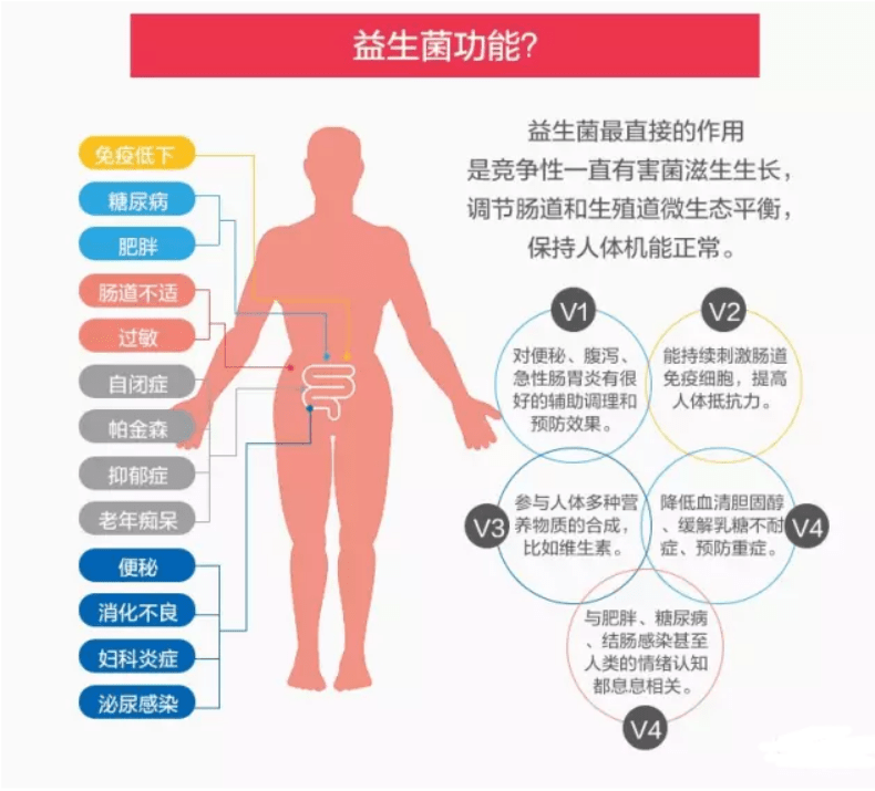 吃什么可以增强心血管功能 0e903a5aabb3423da52c8c4cc9d9b4e8.png