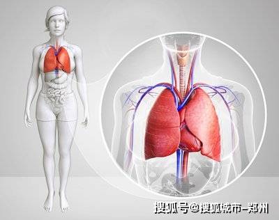 哪些属于慢性阻塞性肺病 936af7bfcf604dbe8b4f81c2acdad7a6.jpeg