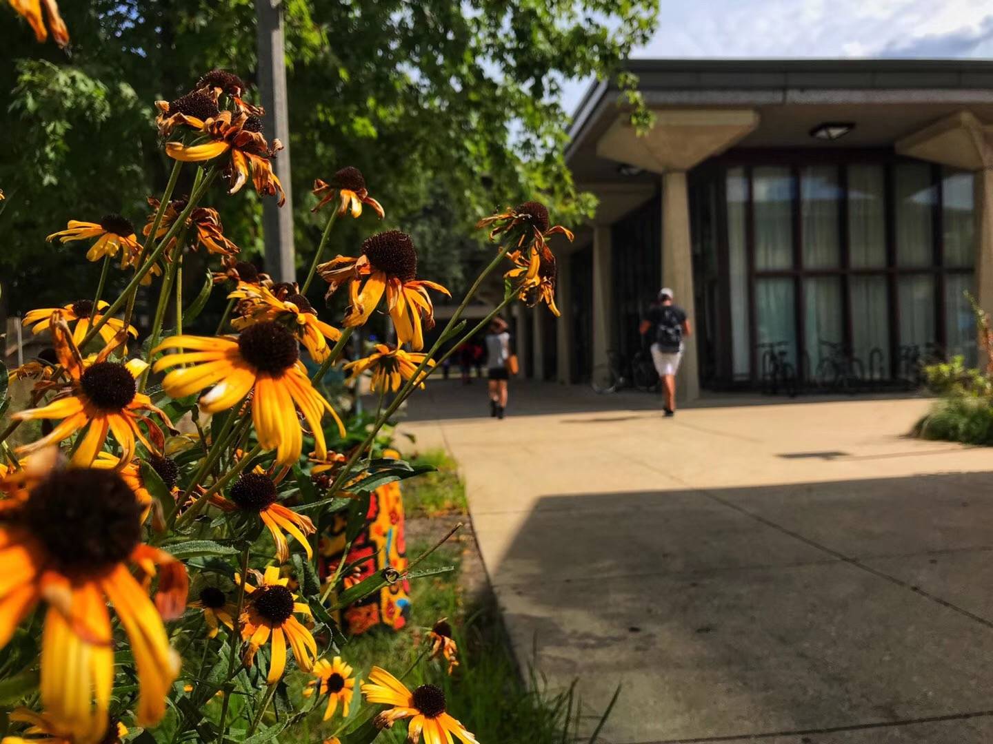 2020年美国大学法学_2020年申请人数最多的十所美国大学,出人意料!