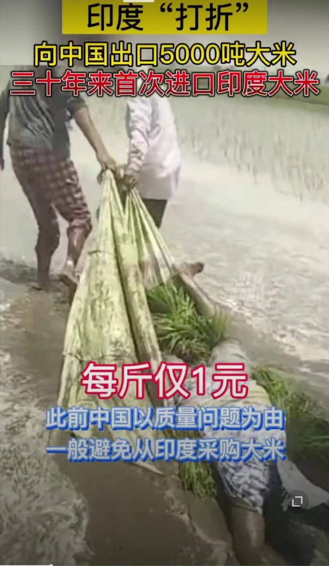 各国人均粮食_中国人均粮食数据图(2)