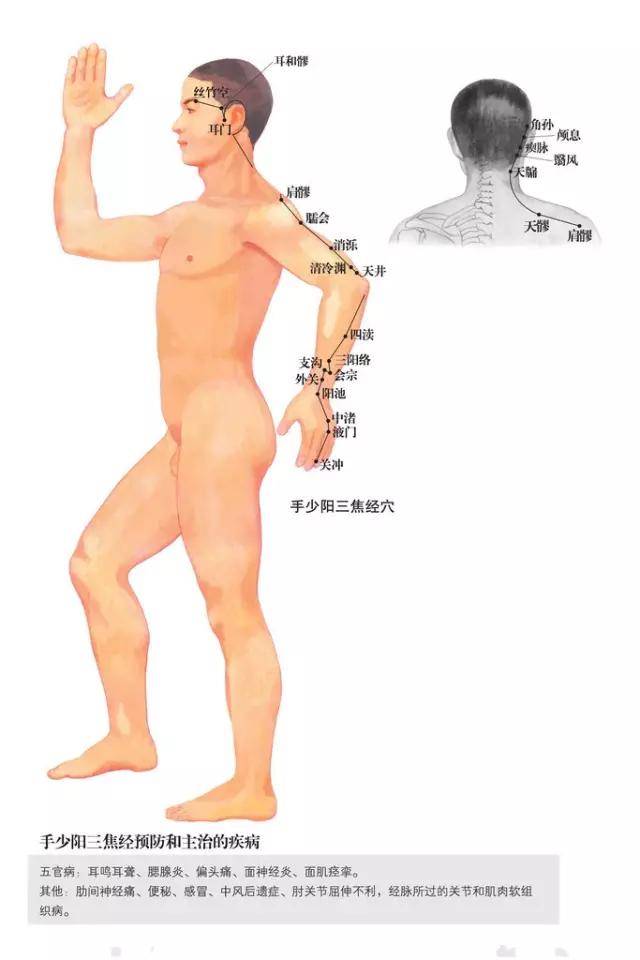 55db6510889f45afb919e28ccb348064.jpeg