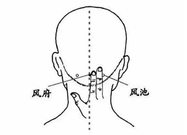 而刺激后脑勺上的 风池穴,风府穴能够醒神开窍,还可以防范醉酒后遭受