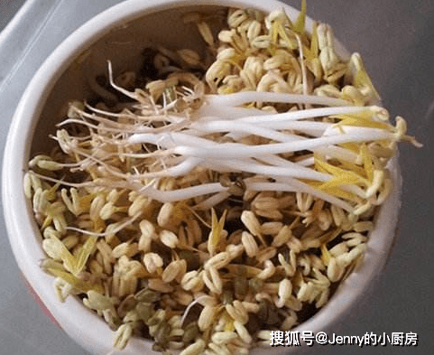 567b727758ce41a4a1f4acdb1fb3ca14.png