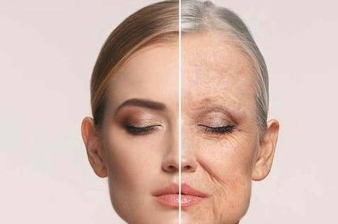 人怎么才能不衰老 6401db5844a045fda97bab4f5c2d1260.jpeg