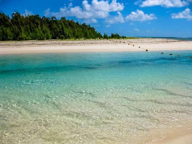 海豚湾在哪里 77b0cbba63bc4b148ef69db53ac6f145.jpeg