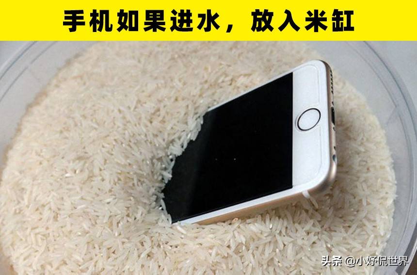 手机泡水里多久会关机 819588a0457147a499f68a87dcfc058a.jpeg