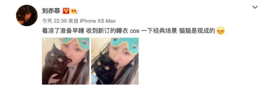 刘亦菲cos奥黛丽赫本，戴同款复古眼罩怀抱黑猫，网友：都是女神_凡尼