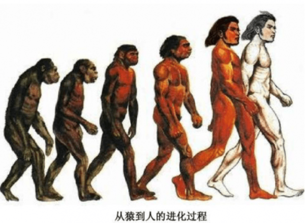 男人|男人都是女人生的，那世界上第一个女人是怎么来的？