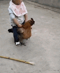 gif搞笑段子:媳妇,你要是再给我加五十,我保证把他教育的你都认不出来