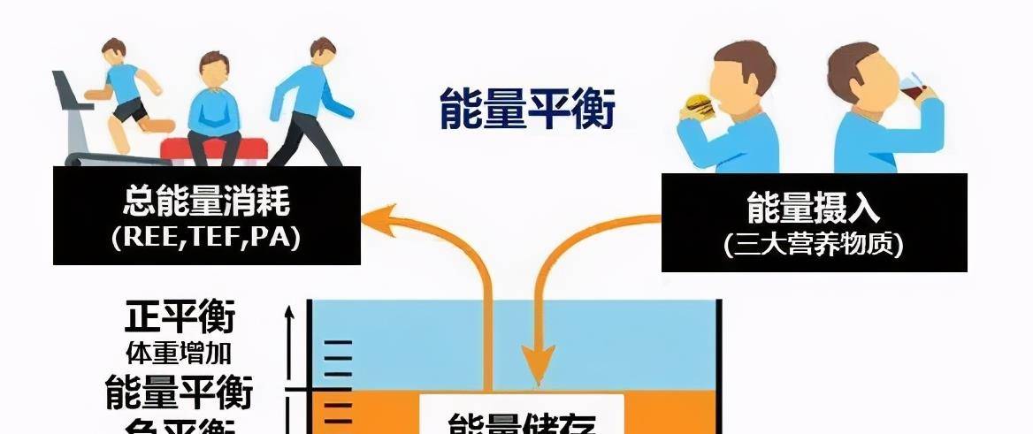 概念是什么意思心理学 d611c3dbbafb444a82849e393bf0f2a5.jpeg